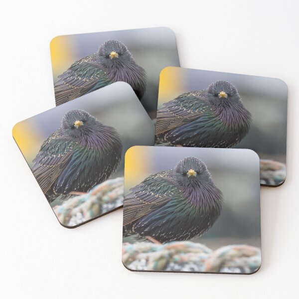 Item preview, Common Starling designed and sold by LaurenTucker.