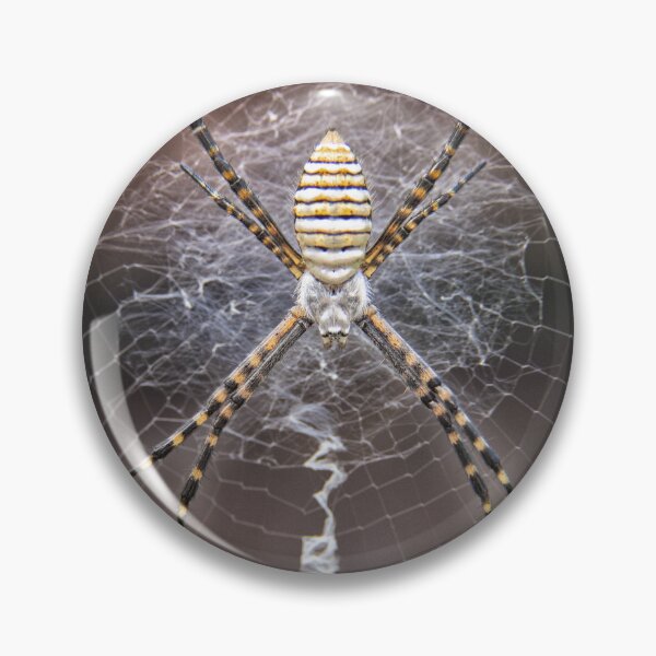 Item preview, Mr X designed and sold by Manfred  Marquard.