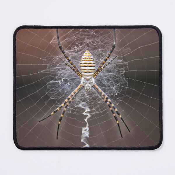 Item preview, Mr X designed and sold by Manfred Marquard.