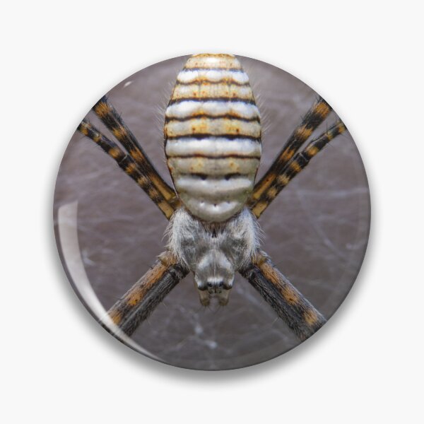 Item preview, Mr X designed and sold by Manfred  Marquard.