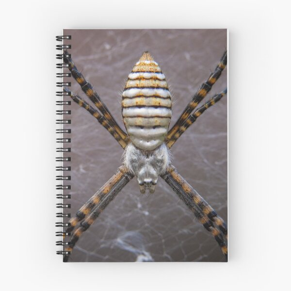 Item preview, Mr X designed and sold by Manfred  Marquard.