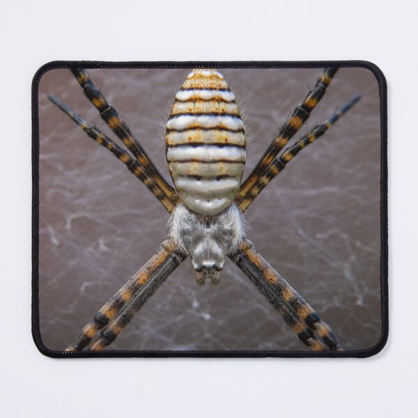 Item preview, Mr X designed and sold by Manfred Marquard.