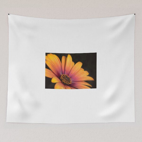Item preview, Osteospermum - gold petsl flower designed and sold by eddiej.