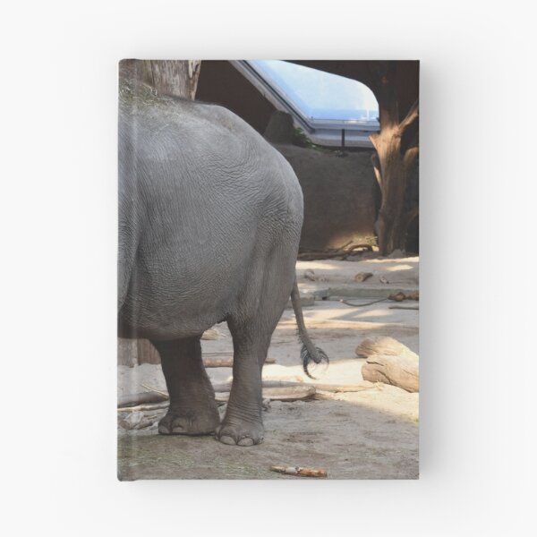 Artikelvorschau, Elefant entworfen und verkauft von heico13.