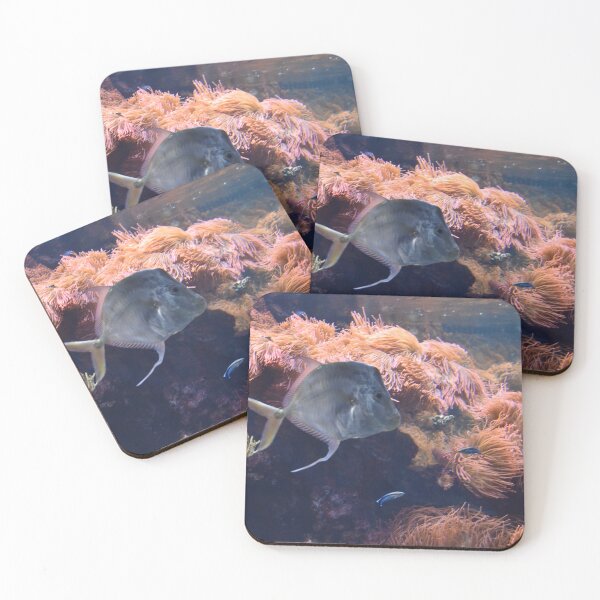 Item preview, Pirania designed and sold by heico13.