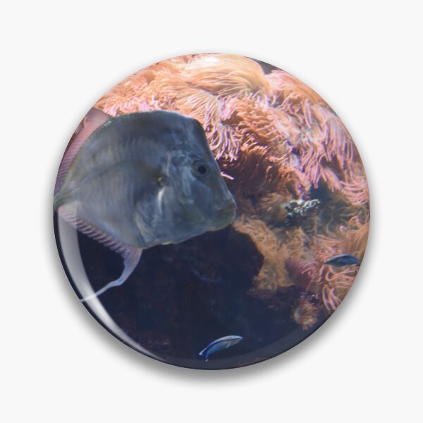 Item preview, Pirania designed and sold by heico13.