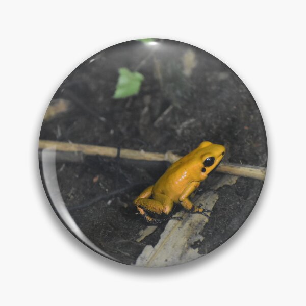 Item preview, frog designed and sold by heico13.