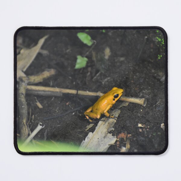 Item preview, frog designed and sold by heico13.