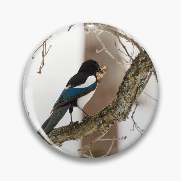 Item preview, Where was it. Eurasian magpie designed and sold by Jouko Lehto Photography.