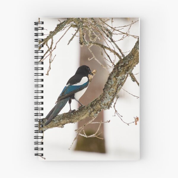 Item preview, Where was it. Eurasian magpie designed and sold by Jouko Lehto Photography.