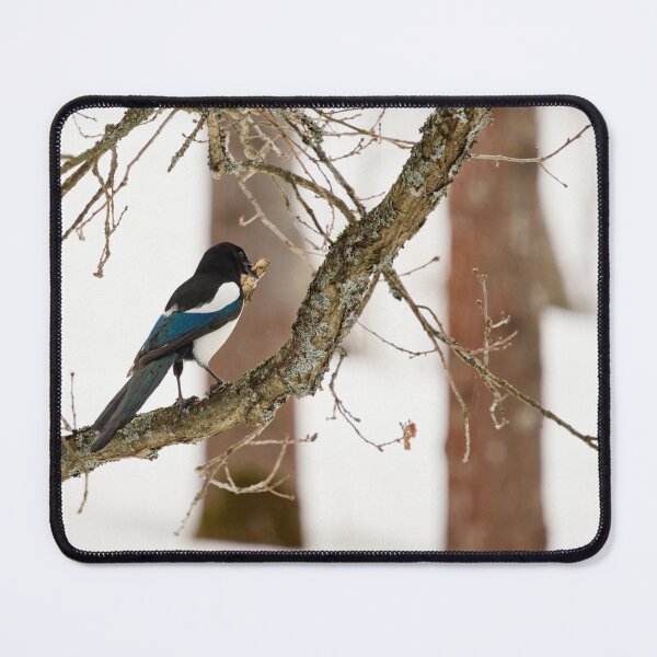 Item preview, Where was it. Eurasian magpie designed and sold by Jouko Lehto Photography.