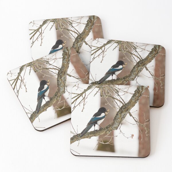 Item preview, Where was it. Eurasian magpie designed and sold by Jouko Lehto Photography.