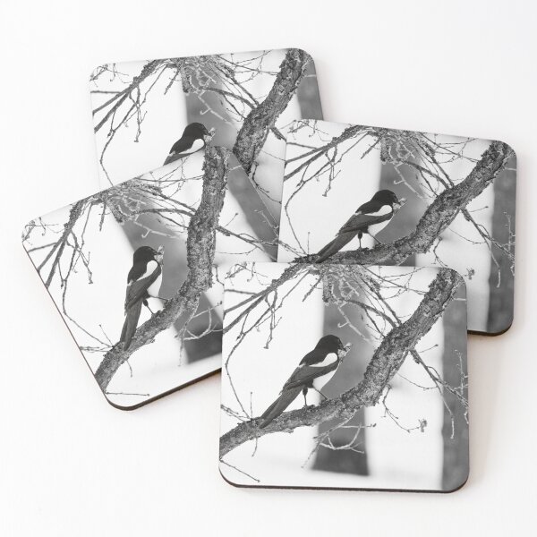 Item preview, Where was it. Eurasian magpie bw designed and sold by Jouko Lehto Photography.