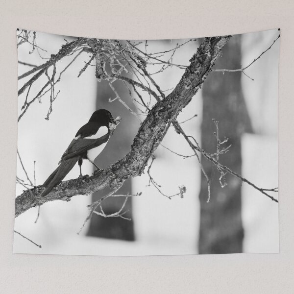 Item preview, Where was it. Eurasian magpie bw designed and sold by Jouko Lehto Photography.