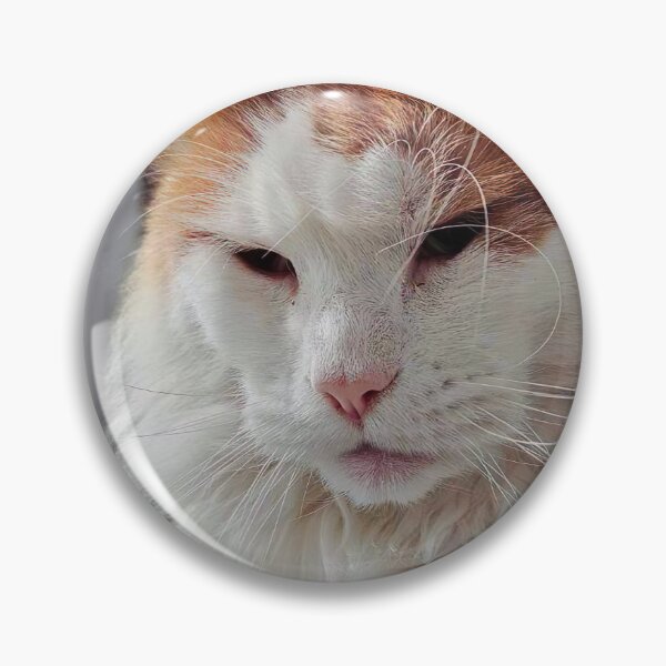 Item preview, White Red Maine Coon Cat designed and sold by Light79.