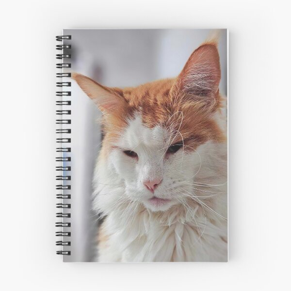 Item preview, White Red Maine Coon Cat designed and sold by Light79.