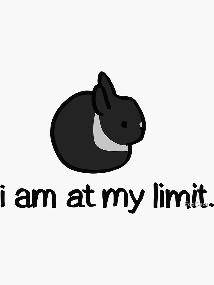 I am at my limit” bunny rabbit havana lennon version