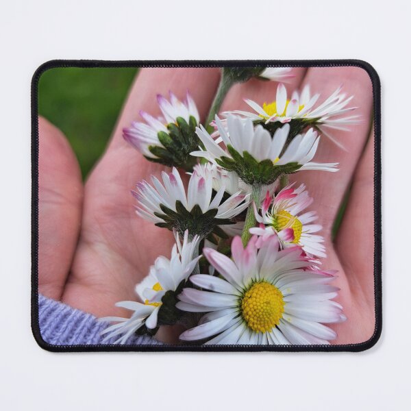 Item preview, Daisies in the palm of my hand designed and sold by AnnWillmott.
