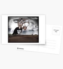 Reincarnation Postcards