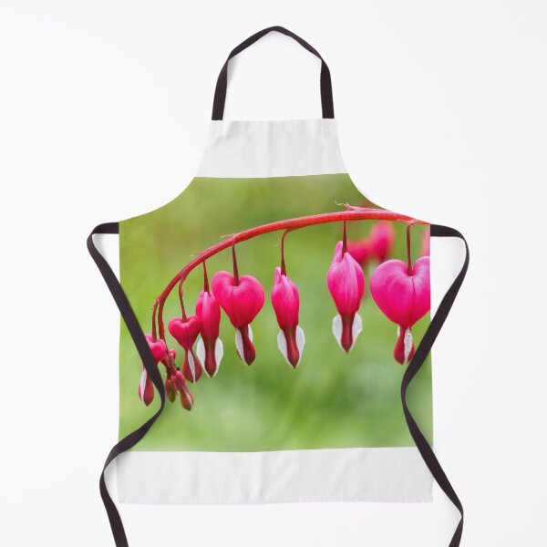 Item preview, Bleeding Heart Flowers - Lamprocapnos spectabilis designed and sold by Dorset Girl.