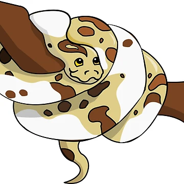 Artwork thumbnail, Pied Python by HarveyHandcraftsandDesigns