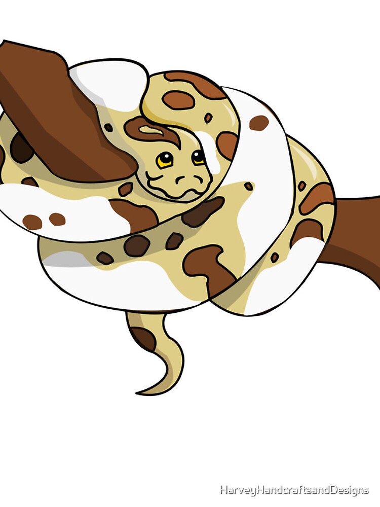 Thumbnail 4 of 4, iPhone Case, Pied Python designed and sold by NJHredbubble.