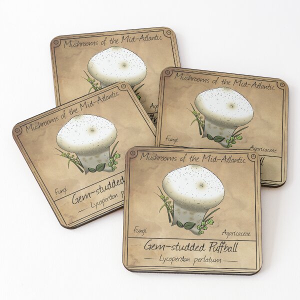 Item preview, Mushrooms of the Mid-Atlantic: Gem-studded Puffball Mushroom  designed and sold by Cherie Brunetti.