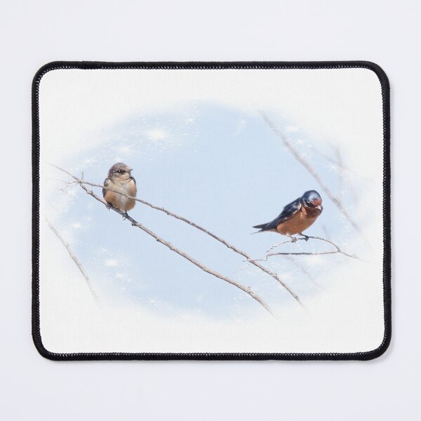 Item preview, Young Barn Swallow and Tree Swallow  designed and sold by CarolM.