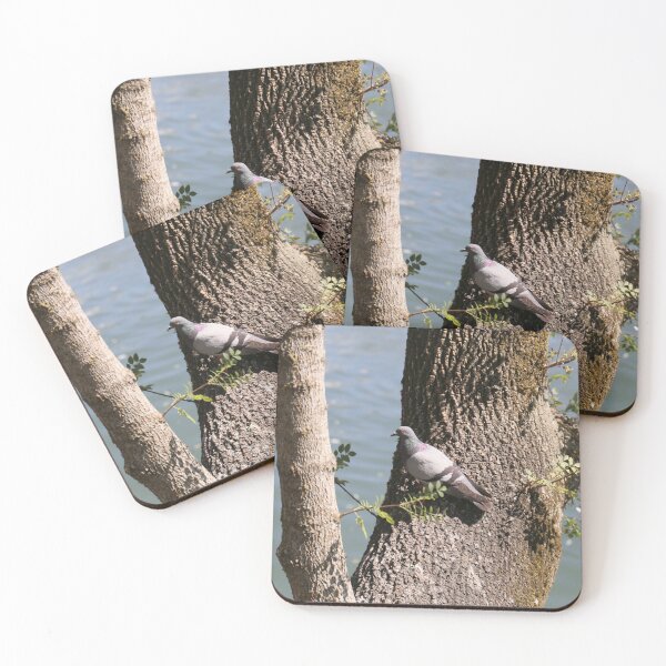 Item preview, pigeon beautiful .  designed and sold by diana rogagels.