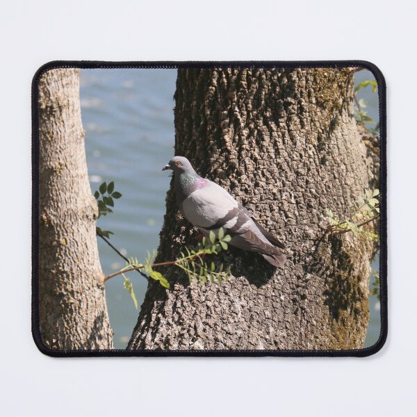 Item preview, pigeon beautiful .  designed and sold by diana rogagels.