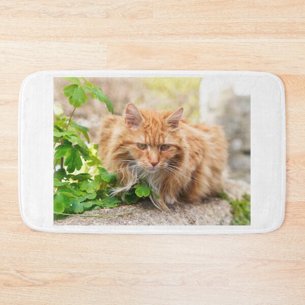 Item preview, Longhaired Ginger Tabby designed and sold by Dorset Girl.