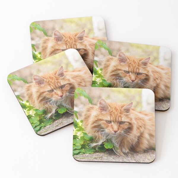 Item preview, Longhaired Ginger Tabby designed and sold by Dorset Girl.