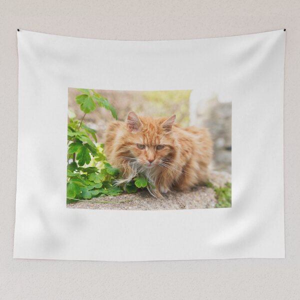 Item preview, Longhaired Ginger Tabby designed and sold by Dorset Girl.