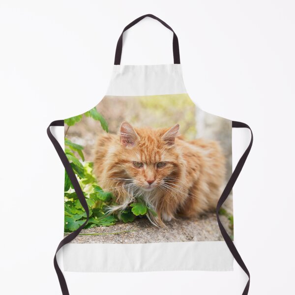 Item preview, Longhaired Ginger Tabby designed and sold by Dorset Girl.
