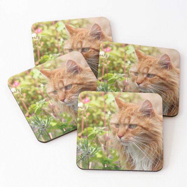 Item preview, Longhaired Ginger Tabby designed and sold by Dorset Girl.