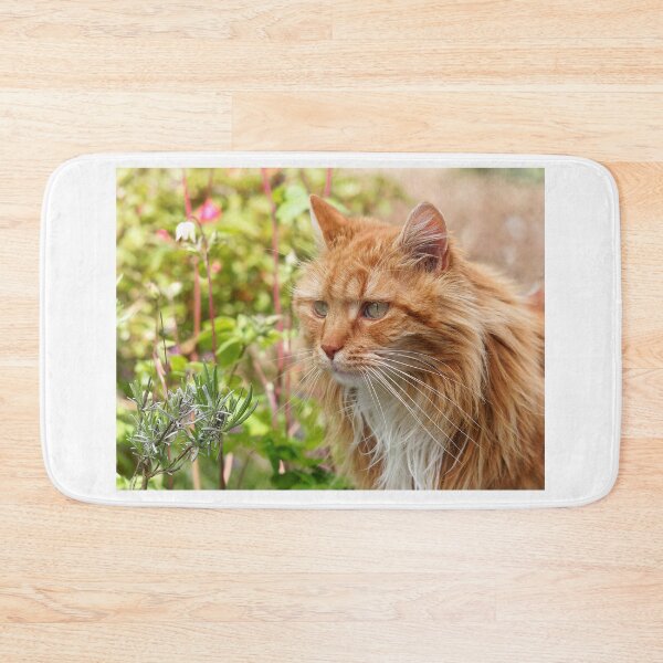 Item preview, Longhaired Ginger Tabby designed and sold by Dorset Girl.
