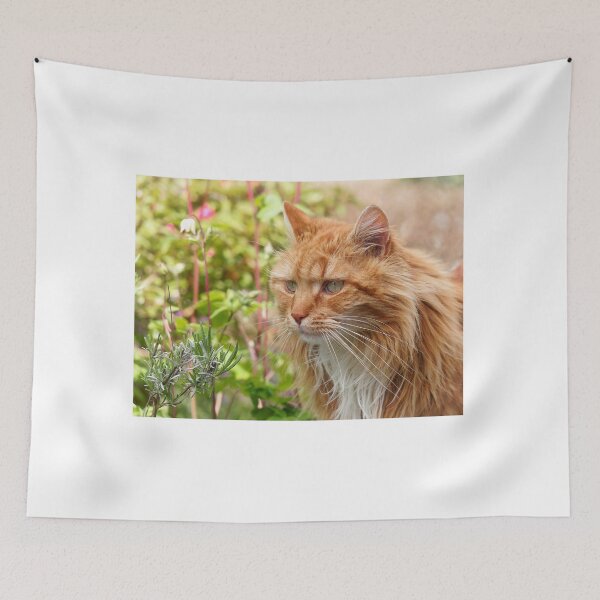 Item preview, Longhaired Ginger Tabby designed and sold by Dorset Girl.