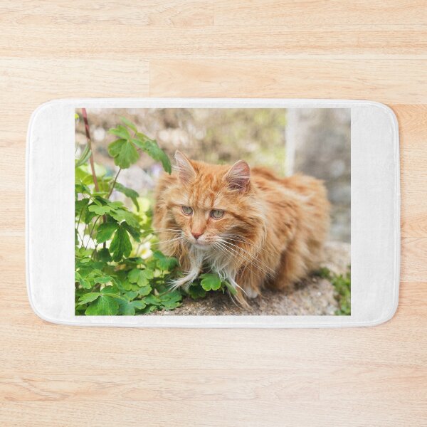 Item preview, Longhaired Ginger Tabby designed and sold by Dorset Girl.