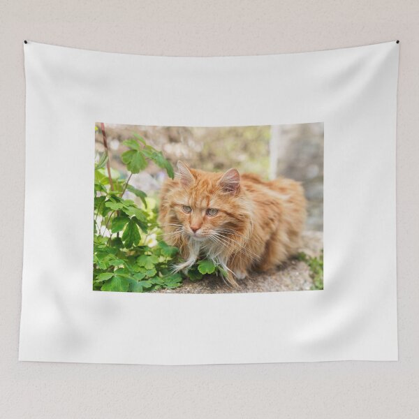 Item preview, Longhaired Ginger Tabby designed and sold by Dorset Girl.