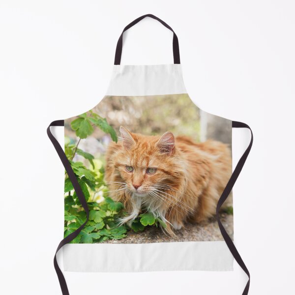 Item preview, Longhaired Ginger Tabby designed and sold by Dorset Girl.