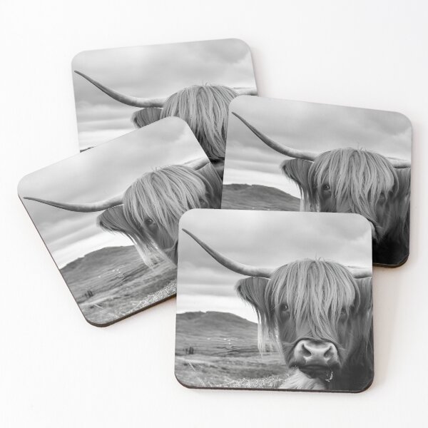 Item preview, Scottish Highland Cattle - Black And White Animal Photography designed and sold by MillerDesigns.