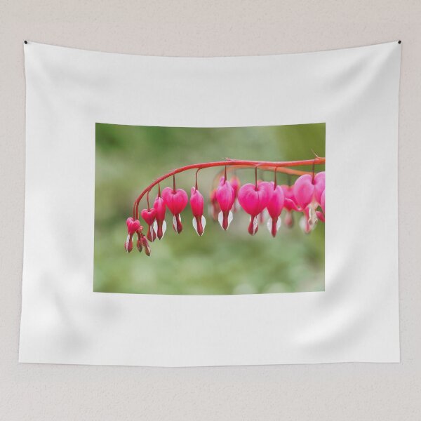 Item preview, Bleeding Heart Flowers - Lamprocapnos spectabilis designed and sold by Dorset Girl.