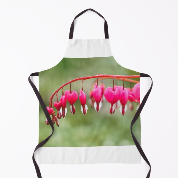 Item preview, Bleeding Heart Flowers - Lamprocapnos spectabilis designed and sold by Dorset Girl.