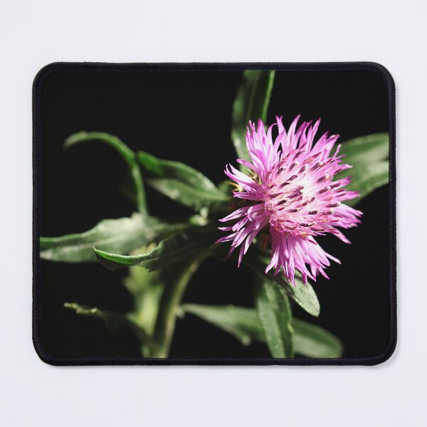 Item preview, Another weed designed and sold by Paul Pasco.