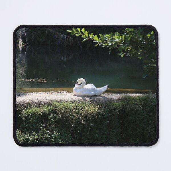 Item preview, swan .  designed and sold by diana rogagels.