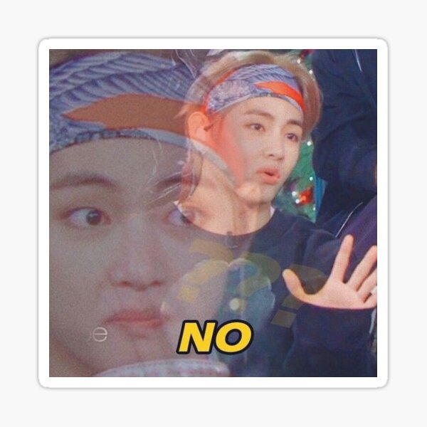 Taehyung V No Meme Sticker