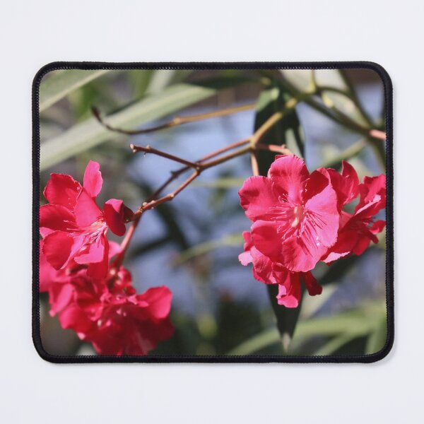 Item preview, pink flowers .  designed and sold by diana rogagels.