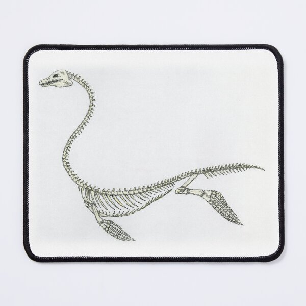 Item preview, Plesiosaur skelleton designed and sold by PsychicHuldra.