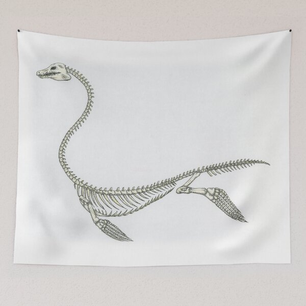 Item preview, Plesiosaur skelleton designed and sold by PsychicHuldra.