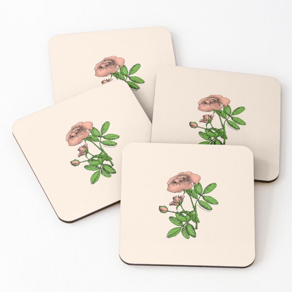 Item preview, Apricot High-Centered Rose Bloom Single 1-7 Petals Almost Flat designed and sold by Rachael Taylor.
